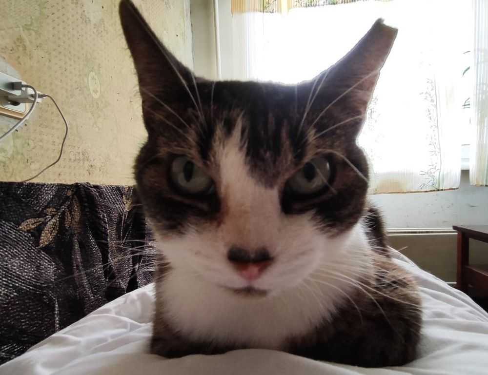 what does mhm mean on snap