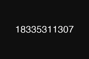 18335311307
