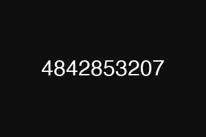 4842853207