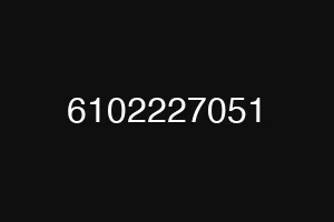 6102227051