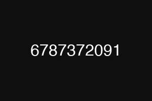 6787372091