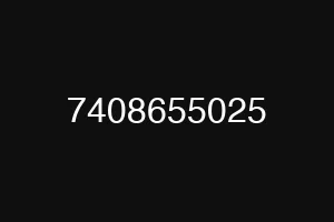 7408655025