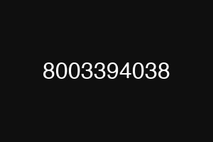 8003394038