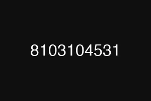 8103104531