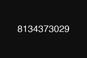 8134373029