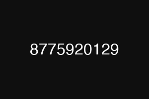 8775920129