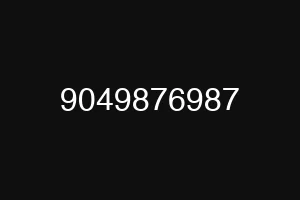 9049876987