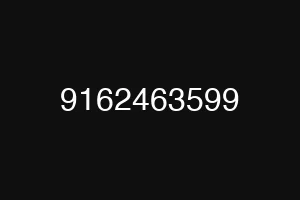 9162463599