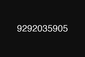9292035905