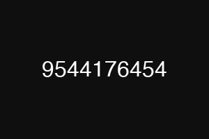 9544176454