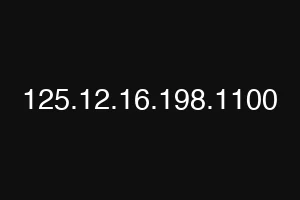 125.12.16.198.1100