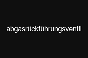 abgasrückführungsventil
