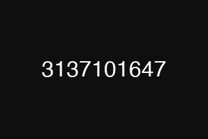 3137101647