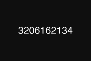 3206162134