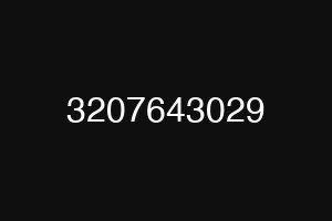 3207643029