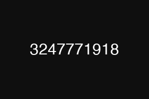 3247771918