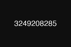 3249208285