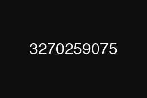 3270259075