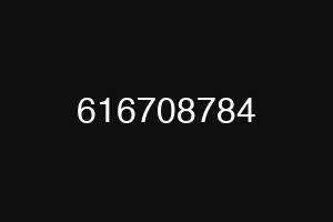 616708784