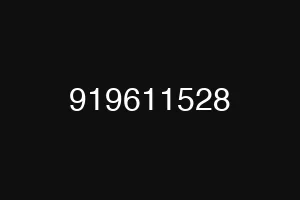919611528