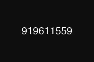 919611559