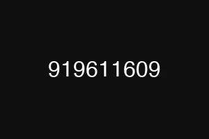 919611609