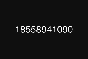 18558941090
