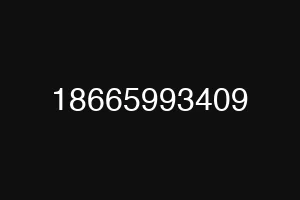 18665993409