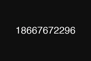 18667672296