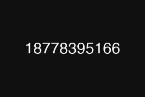 18778395166
