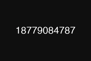 18779084787