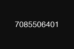 7085506401