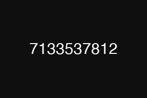 7133537812