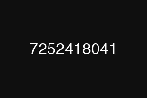 7252418041