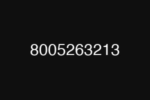 8005263213