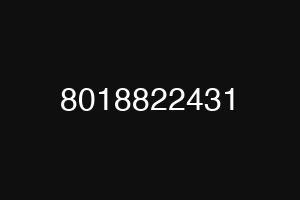 8018822431