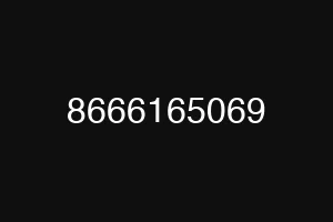 8666165069
