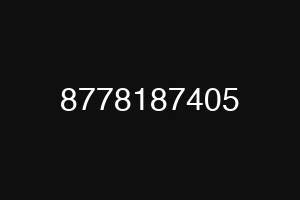 8778187405