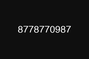 8778770987